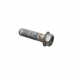 VIS BRIDE TH (10x35)...