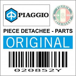 VIS SPECIAUX POUR VILEBREQUIN ORIGINE PIAGGIO -020852Y-