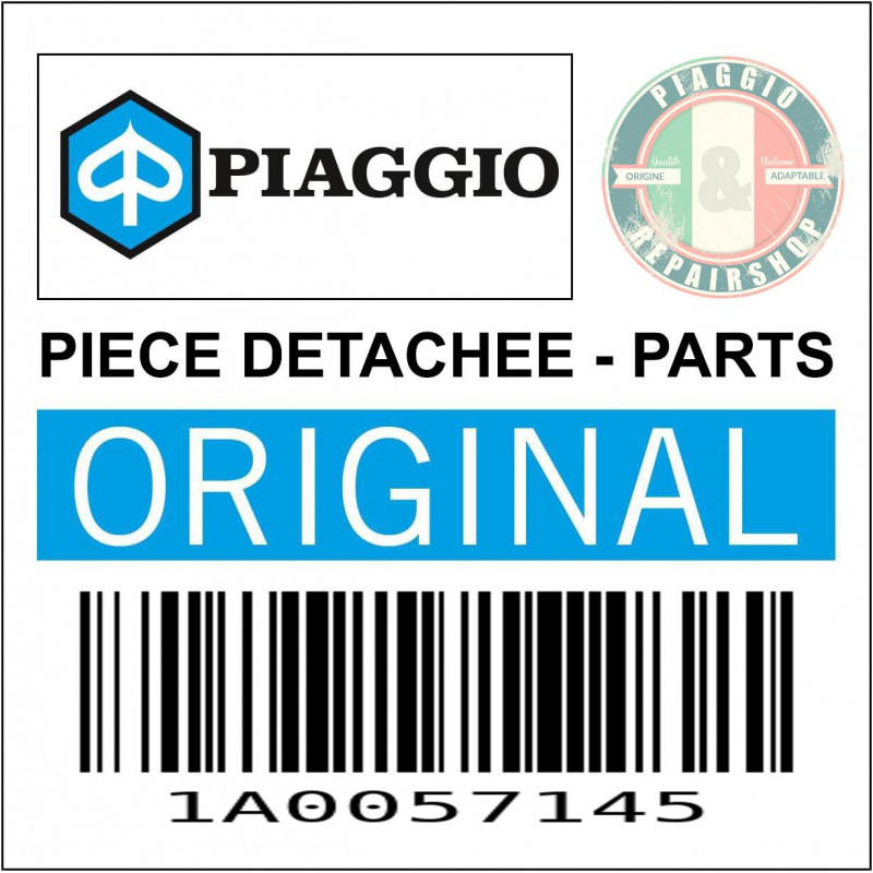 1A0057145 - CODEUR COMPTEUR KM