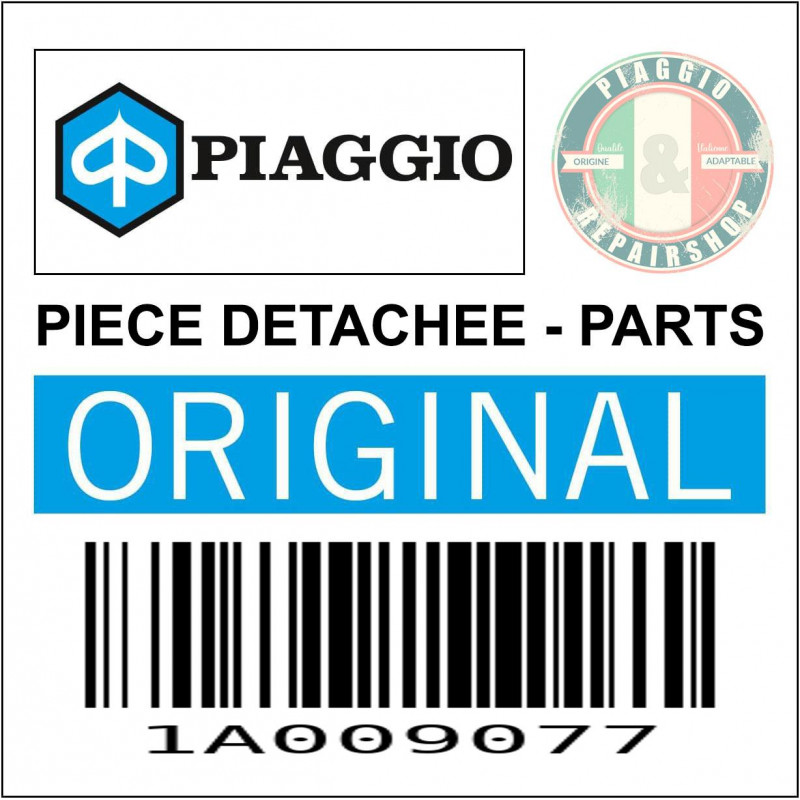 1A009077 - CARTER MOTEUR
