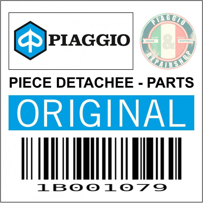 ZZZ TAPIS CAOUTCHOUC MARCHE PIED ORIGINE PIAGGIO 50-125 PRIMAVERA, SPRINT 2013 2023 -1B001079-