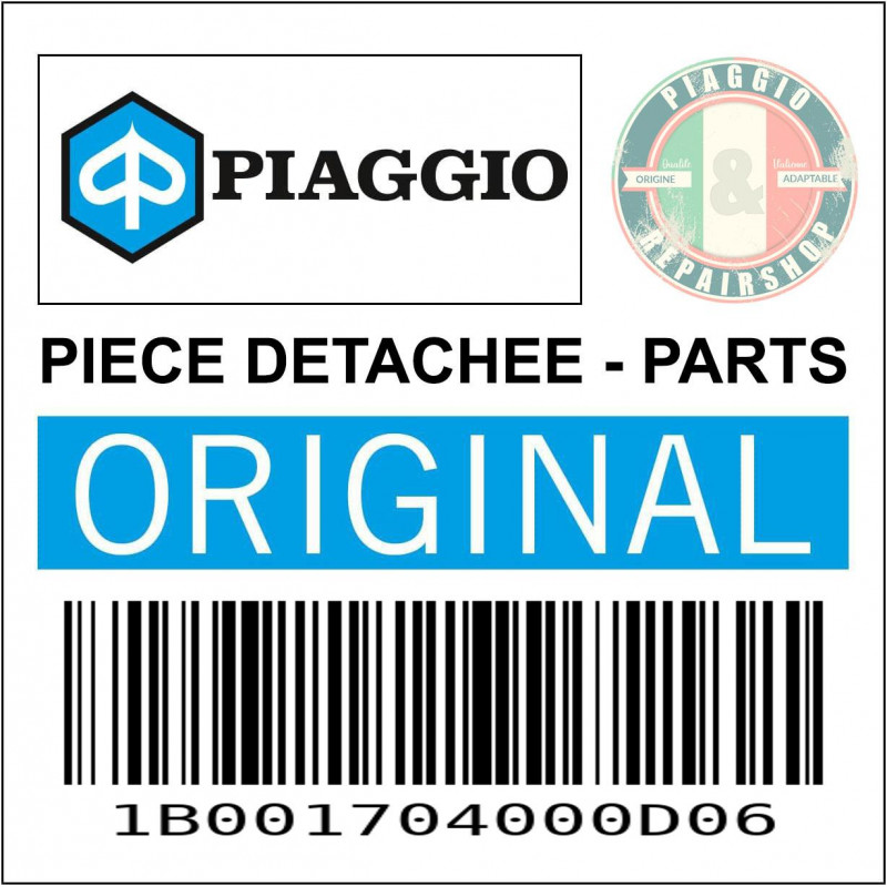 FERMETURE ARRIERE CARENAGE ORIGINE PIAGGIO 125 MEDLEY 2020  BLEU EASY D06 -1B001704000D06-