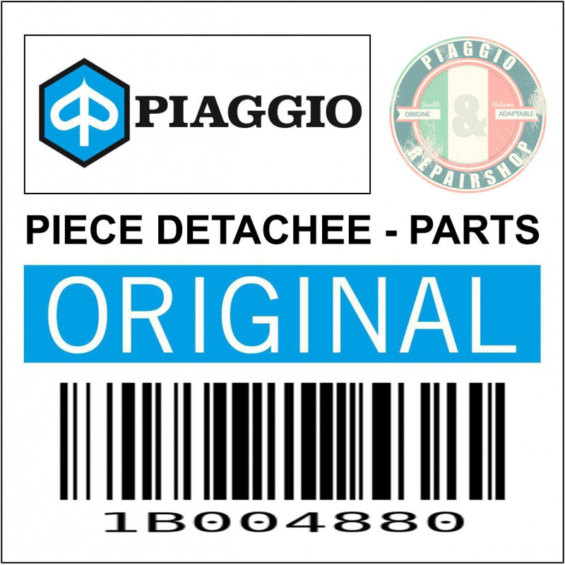 1B004880 - BASE BATTERIE