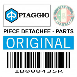 DURITE DE REFROIDISSEMENT (CULASSE AU RADIATEUR) ORIGINE PIAGGIO 350-400 2018 2021 -1B008435R-