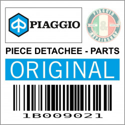 MARCHE PIED GAUCHE ORIGINE PIAGGIO 400 CLASSIC MP3 2022  -1B009021-