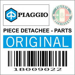 MARCHE PIED DROIT ORIGINE PIAGGIO 400 CLASSIC MP3 2022  -1B009022-