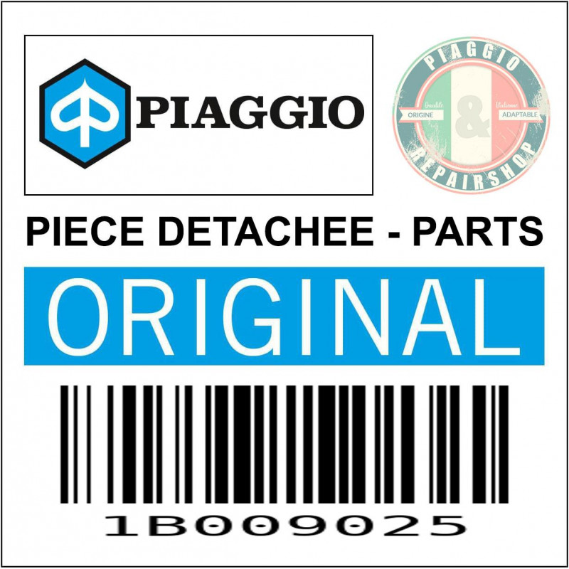 COUVERCLE DE BATTERIE ORIGINE PIAGGIO 400-530 MP3 2022  -1B009025-