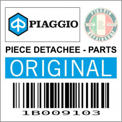 DURITE-TUYAU DE REFROIDISSEMENT RETOUR RADIATEUR AU RESERVOIR ORIGINE PIAGGIO 400-530 MP3 2022  -1B009103-