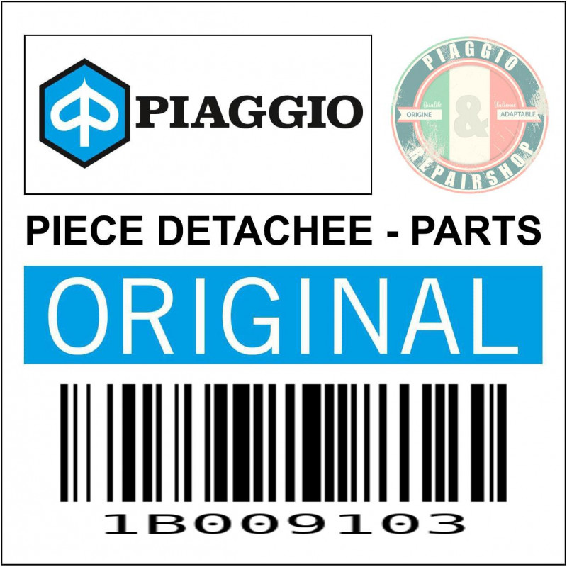 DURITE-TUYAU DE REFROIDISSEMENT RETOUR RADIATEUR AU RESERVOIR ORIGINE PIAGGIO 400-530 MP3 2022  -1B009103-