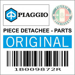 DURITE-TUYAU ESSENCE RESERVOIR ORIGINE PIAGGIO 400-530 MP3 2022  -1B009872R-