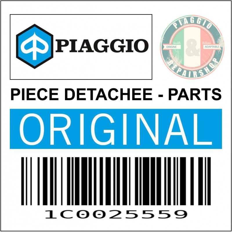 BRAS OSCILLANT COTE MOTEUR ORIGINE PIAGGIO 300 GTS 2009 2020 -1C0025559-