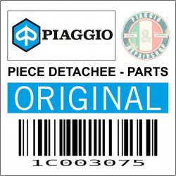 BRAS OSCILLANT COTE CADRE ORIGINE PIAGGIO 50 ZIP 4T 2018 2020 -1C003075-