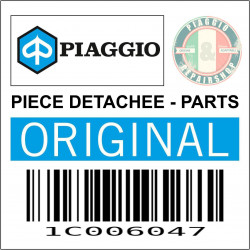 1C006047 - BRAS OSCILLANT COTE MOTEUR COMPLET