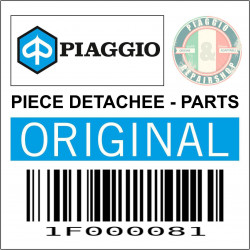DURITE-TUYAU ENTREE POMPE A EAU ORIGINE PIAGGIO PORTER MULTITECH E6 2015 2020 -1F000081-