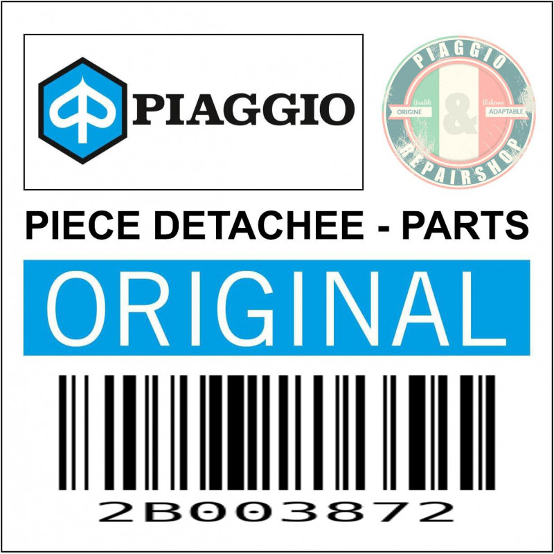 2B003872 - REPOSE PIED
