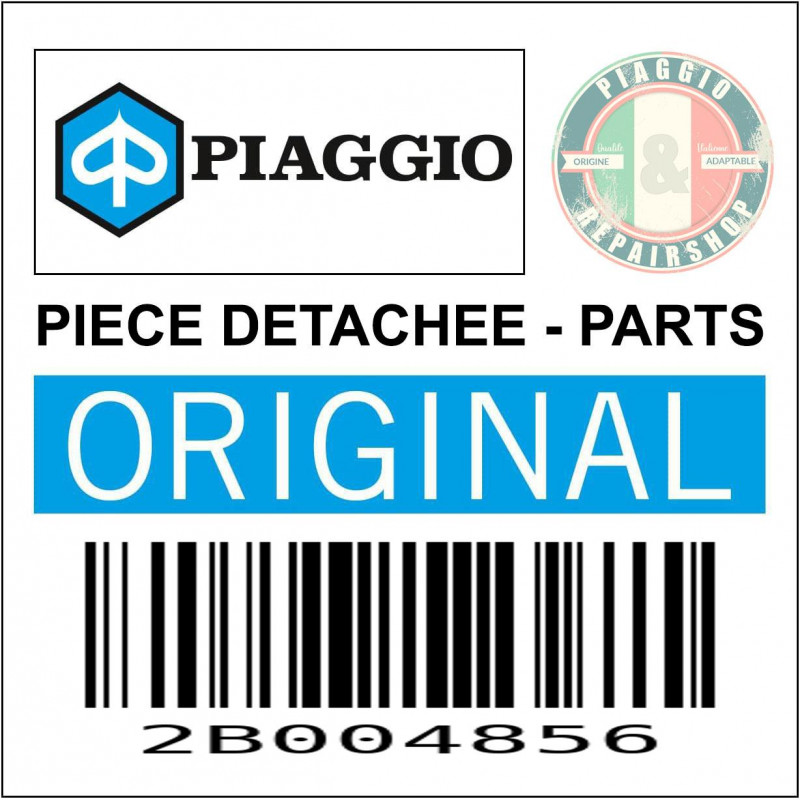 PIVOT DE FRICTION REPOSE PIED PILOTE ORIGINE MOTO GUZZI AUDACE, CALIFORNIA, V7, V9 -2B004856-