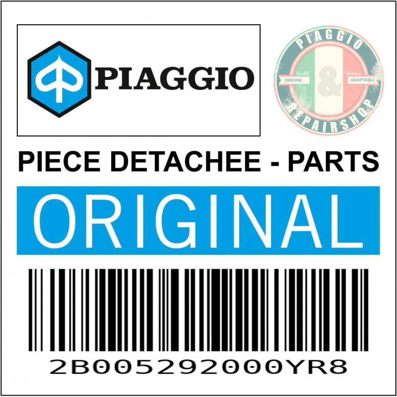 2B005292000YR8 - POIGNEE