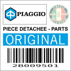 CLIGNOTANT AVANT DROIT-ARRIERE GAUCHE ORIGINE APRILIA 660 RS, TUONO 2023  -2B009501-