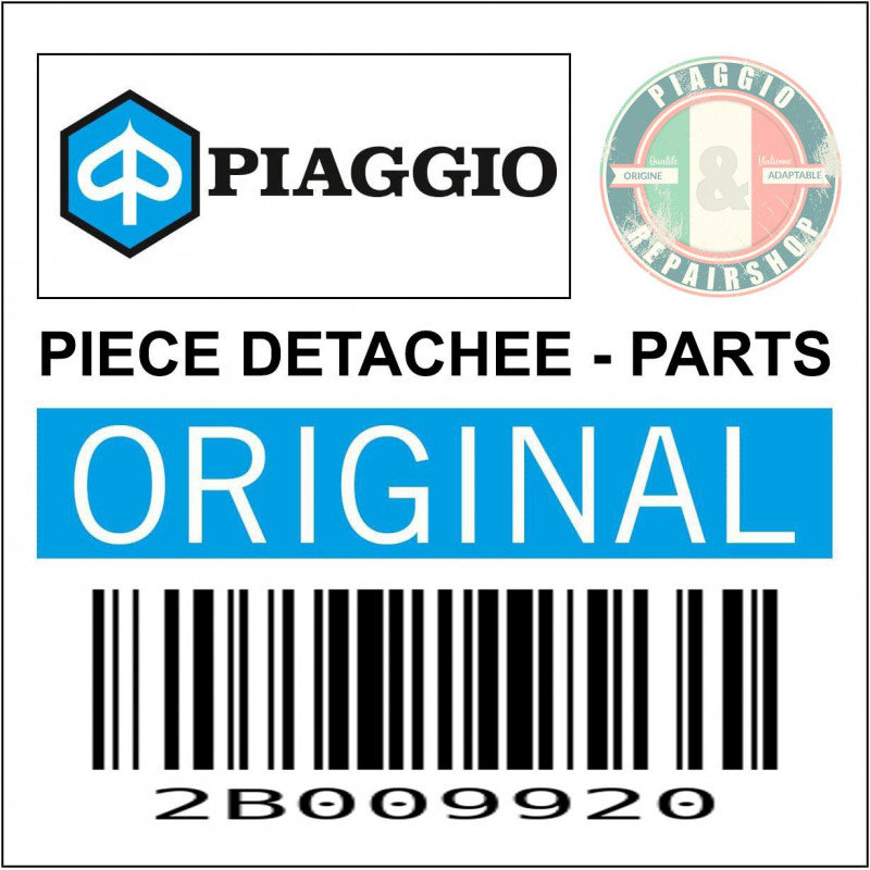 PEDALE-LEVIER DE FREIN ARRIERE ORIGINE MOTO GUZZI V100 2022  -2B009920-