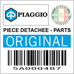 5A000487 - BRAS OSCILLANT