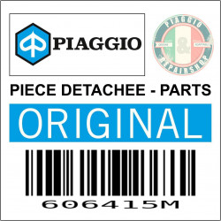 606415M - SMOKED VISOR