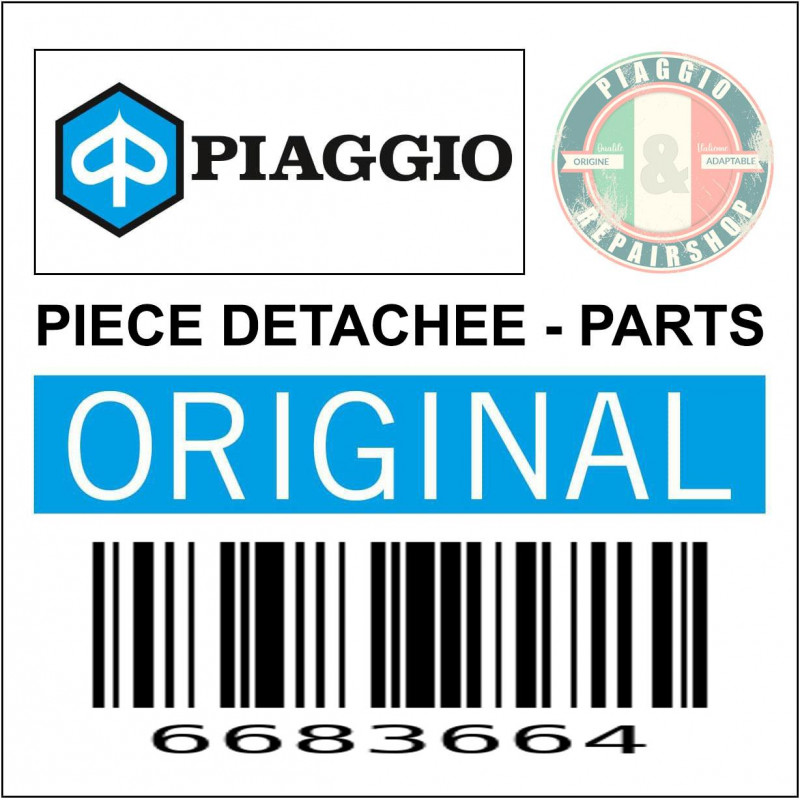 6683664 - BRAS DE LA SUSPENSION