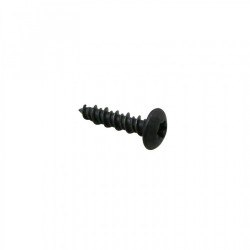 VIS TORX AUTOTARAUDEUSE...