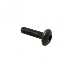 VIS TORX (6x25) TETE BOMBEE...