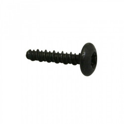VIS TORX AUTOTARAUDEUSE...