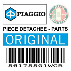 86178801WGB - GUIDON