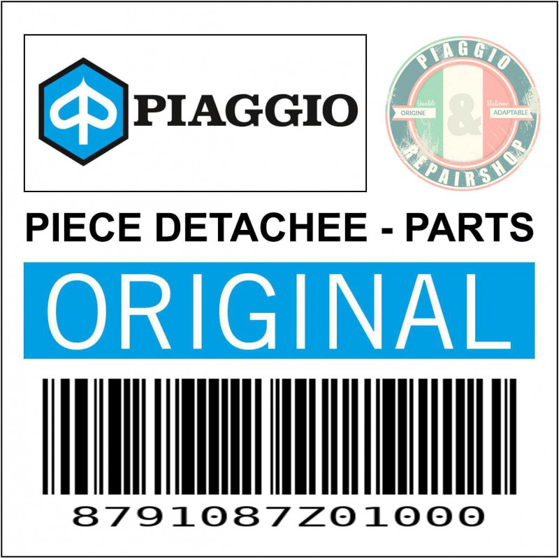 RETROVISEUR DROIT ORIGINE PIAGGIO PORTER 1992 2009  -8791087Z01000-