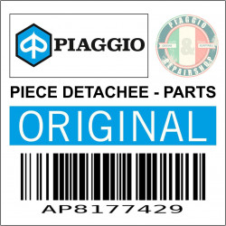 AP8177429 - DECAL-SERIE CARENAGE