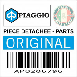 AP8206796 - GICLEUR