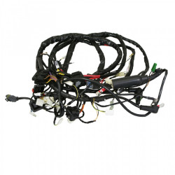 FAISCEAU CABLES ORIGINE...