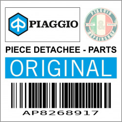 AP8268917 - COUVERCLE GUIDON PEINT