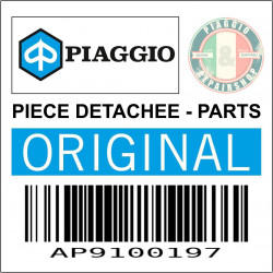 PIVOT DE REPOSE PIED AVANT ORIGINE APRILIA CAPONORD, DORSODURO -AP9100197-