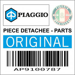 AP9100787 - KIT REVISIONE LEVA FRENO *