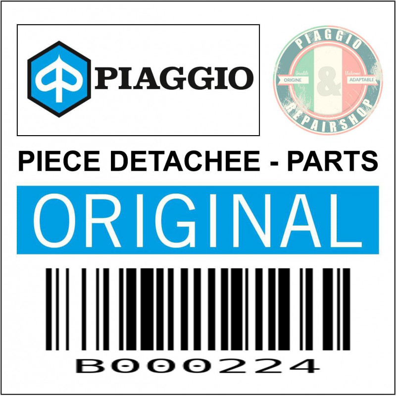 PLAQUETTE  DE RIDELLE POUR CHARNIERE ORIGINE PIAGGIO PORTER 2010  -B000224-
