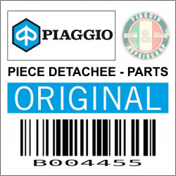 B004455 FAISCEAU CABLES
