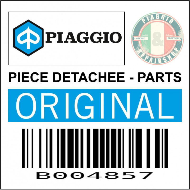 B004857 FAISCEAU CABLES