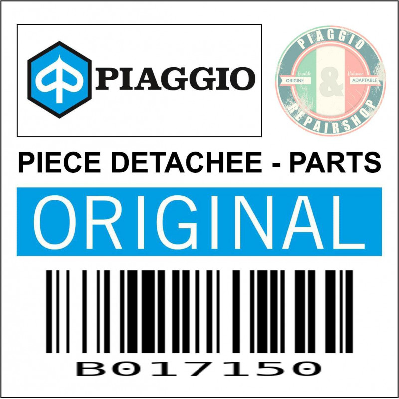 B017150 - VIS M6X110