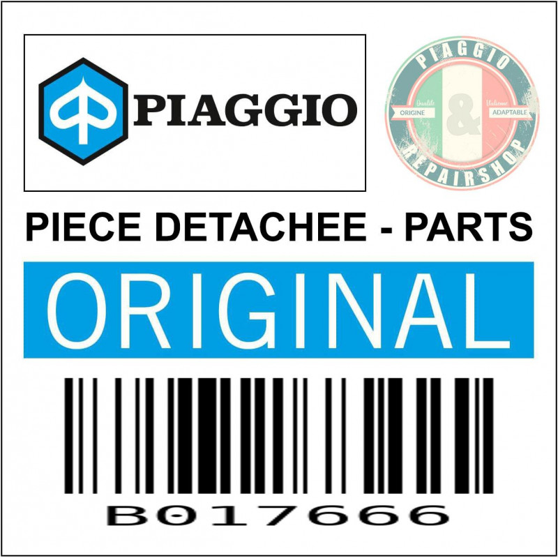 B017666 - GEAR FIXING CLICK ASSY SPRING PIN